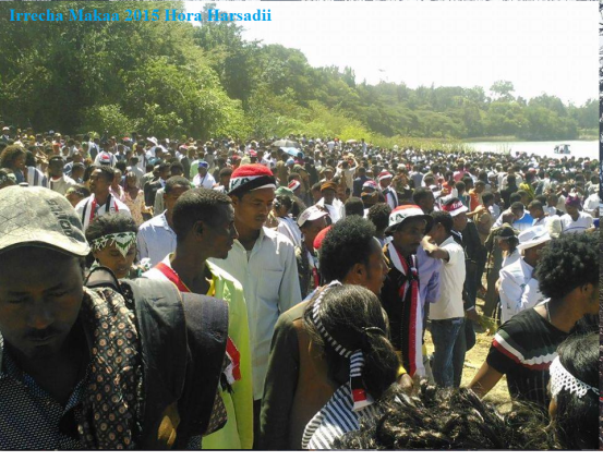 Irreecha Birraa Oromo Hora Harsadii, Onkoloolessa 4, Bara 2015 picture3