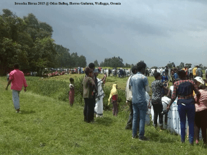 Irreecha Malkaa 2015 @Horroo Guduruu, Wallagga, Oromia
