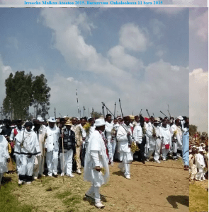 Irreecha Malkaa 2015 @Malkaa Ateetee, Gafarsaa, Buraayyuu, Oromia. 11 October 2015 picture13