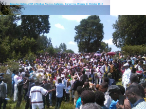 Irreecha Malkaa 2015 @Malkaa Ateetee, Gafarsaa, Buraayyuu, Oromia. 11 October 2015 picture3
