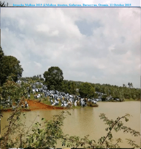 Irreecha Malkaa 2015 @Malkaa Ateetee, Gafarsaa, Buraayyuu, Oromia. 11 October 2015 picture7