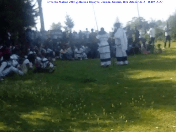 Irreecha Malkaa 2015 @Malkaa Booyyee, Jimmaa, Oromia, 18th October 2015 picture3