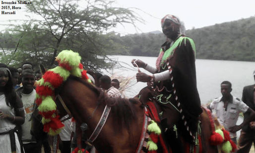 Irreecha Oromo kan Malkaa bara 2015 Hora Harsadi