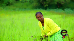 Oromia, Bara Olaanoon Gadaa1