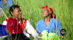 Oromia, Bara Olaanoon Gadaa2