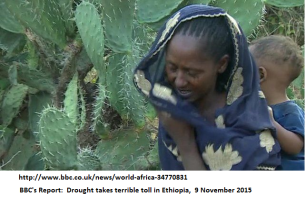 Famine Ethiopia 2015 BBC report