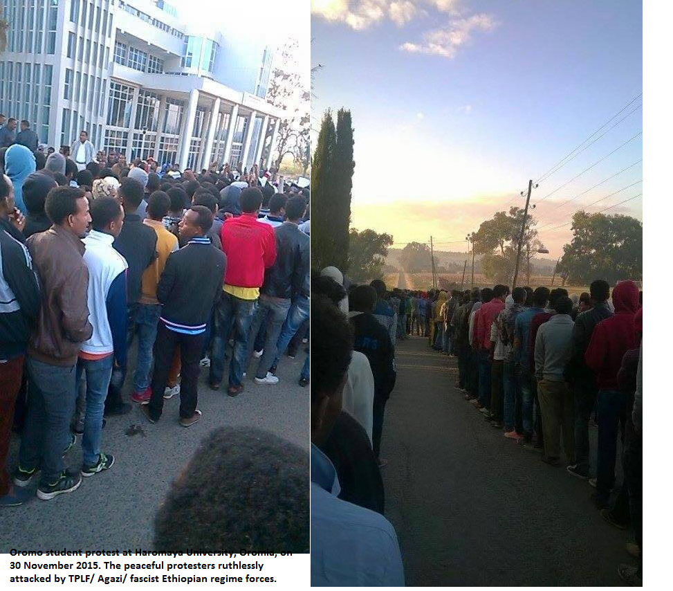 Oromo student protest at Haromaya University, Oromia, on 30 November 2015. The peaceful protesters ruthlessly attacked by TPLF (Agazi) fascist Ethiopian regime forces.