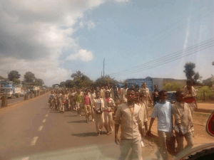OromoProtests, Naqamtee, Oromia, November 27, 2015