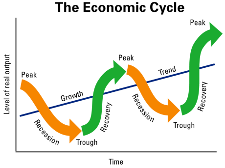 The economic (business cycle)