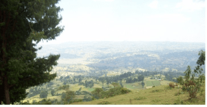 Arjo (Jimmaa Arjoo), Wallagga Bahaa, Oromia, Qarree Arjoo irraan  Dachaa Nageessoo Gara Nuunnuutti