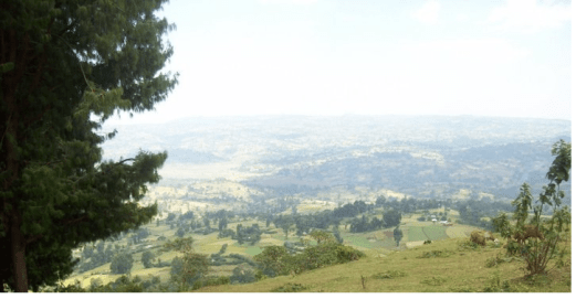 Arjo (Jimmaa Arjoo), Wallagga Bahaa, Oromia, Qarree Arjoo irraan Dachaa Nageessoo Gara Nuunnuutti