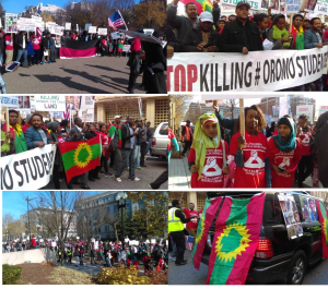 #‎OromoProtests‬ Global Solidarity, Washington DC (USA), 10 December 2015