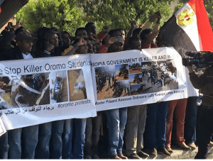 Egypt, Oromo Peaceful rally in solidarity with #OromoProtests Oromia against TPLF Ethiopian regime's ethnic cleansing (Master plan), December 10, 2015, picture2