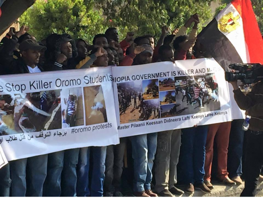 Egypt, Oromo Peaceful rally in solidarity with #OromoProtests Oromia against TPLF Ethiopian regime's ethnic cleansing (Master plan), December 10, 2015, picture2