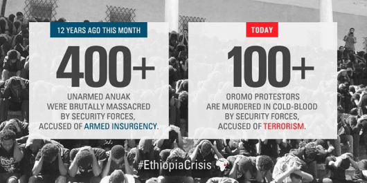 Ethiopia Crisis