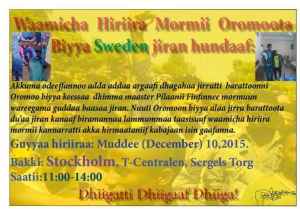 Global Rally in Solidarity with Oromo students in Oromia. Sweden