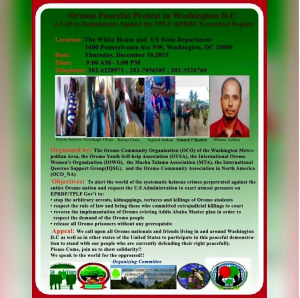 Global Rally in Solidarity with Oromo students in Oromia. Washington D.C.