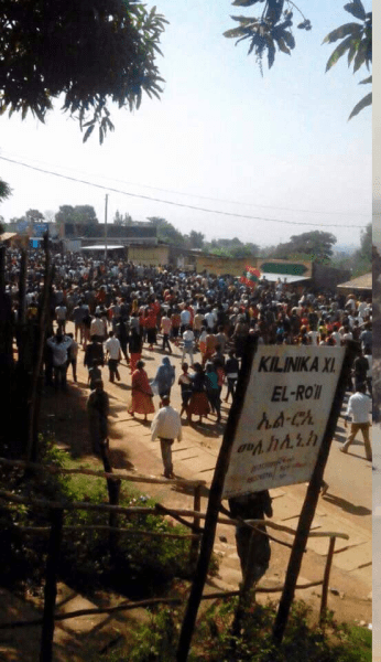 Mass #OromoProtests @Bako, Central Oromia, 14 December 2015