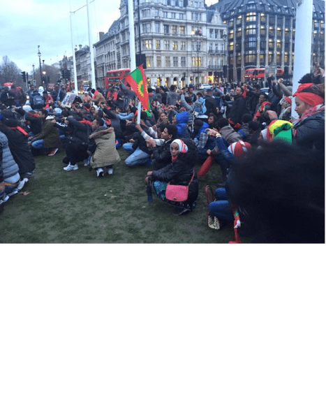 Oromo Peaceful rally in solidarity with #OromoProtests in Oromia against TPLF Ethiopian regime's ethnic cleansing (Master plan), December   10, 2015