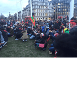 Oromo Peaceful rally in solidarity with #OromoProtests in Oromia against TPLF Ethiopian regime's ethnic cleansing (Master plan), December 10, 2015