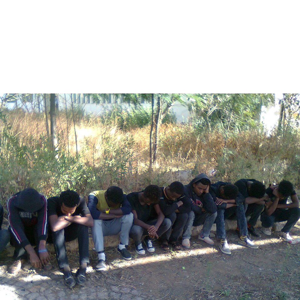 Oromo students Protest against the Master Plan at Maqalee University, silent sit ins