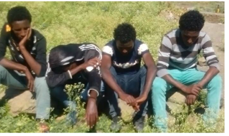 Oromo students Protest against the Master Plan ! Waldia University, silent sit ins