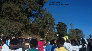 OromoProtests @ Baddannoo, East Hararghe, Oromia, 3 Dec. 2015