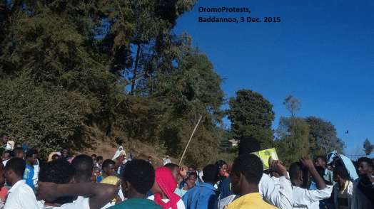 OromoProtests @ Baddannoo, East Hararghe, Oromia, 3 Dec. 2015