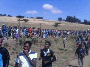 #OromoProtests @Bullo (Sulultaa) 18 Dec. 2015