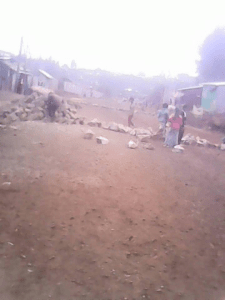 #OromoProtests @Buraayyuu (C. Oromia),  elementary school students bloocked roads,  14 December 2015