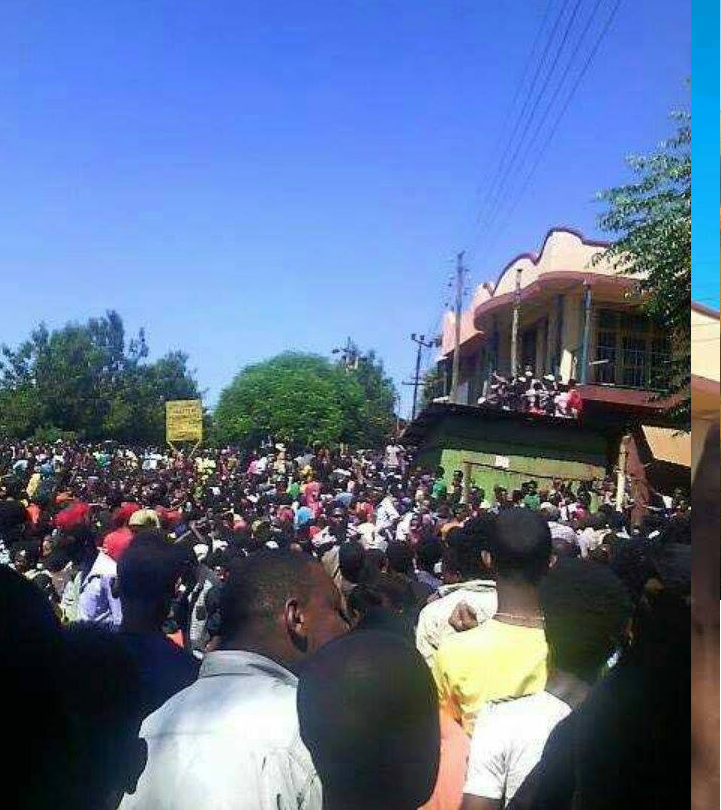#OromoProtests @Mandi, Wallagaa, 14 December 2015 picture2
