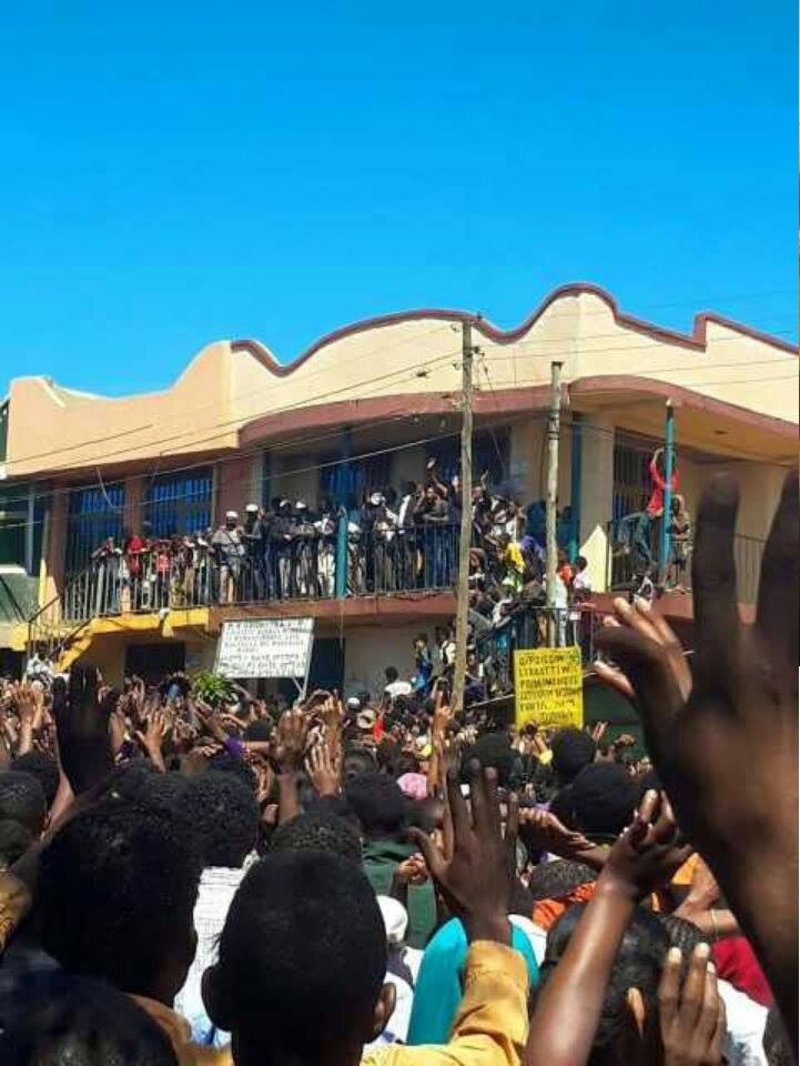 #OromoProtests @Mandi, Wallagaa, 14 December 2015.png
