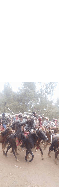 #OromoProtets, Gindo, 12 december 2015 picture2