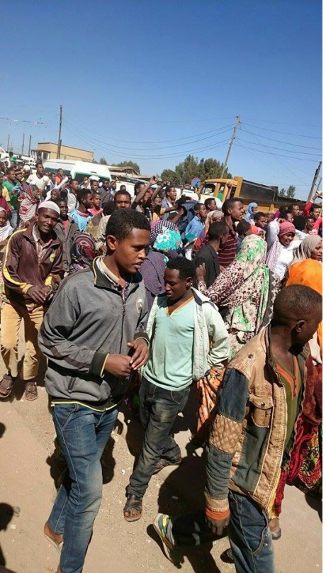 Residents of Haromaayyaa, #OromoProtests, Oromo protests against TPLF Ethiopia tyrannic regime.png