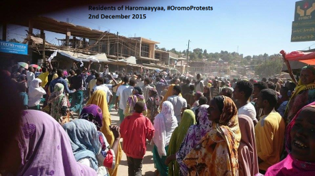 Residents of Haromaayyaa, #OromoProtests.png