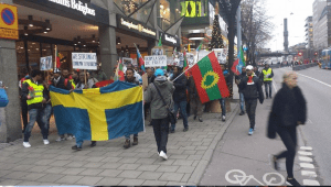 Sweden, Oromo Peaceful rally in solidarity with #OromoProtests Oromia against TPLF Ethiopian regime's ethnic cleansing (Master plan), December 10, 2015