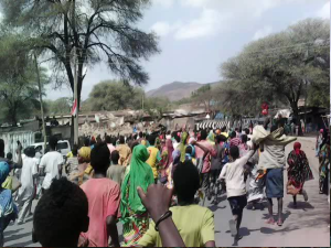 #OromoProtests against TPLF Ethiopian tyranny in Miesso, Hararghe, Oromia . 19 January 2016