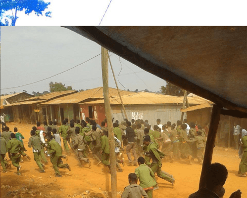 #OromoProtests @ Amuruu High school Students, Horroo Guduruu, Oromia, 29 January 2016