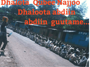 #OromoProtests in Najjo, Western Oromia, 2nd January 2016