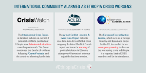 #OromoProtests. International Community Alarmed as Ethiopia Crisis Worsens
