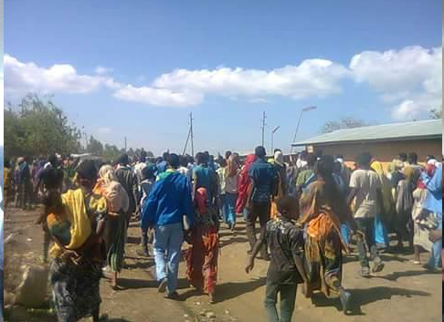 Tulo district residents of Rakatafira Village (West Harararge) staged protest. 3rd January 2016