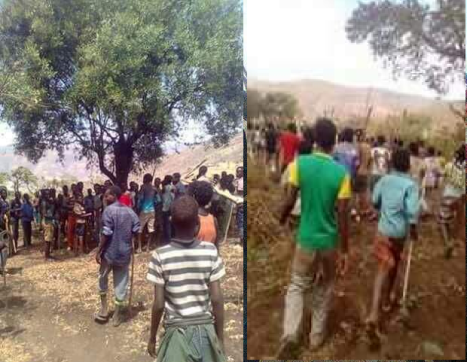 OromoProtests @Baddannoo, Dheertuu Raamisi, Hararge, Oromia, Feb 25, 2016