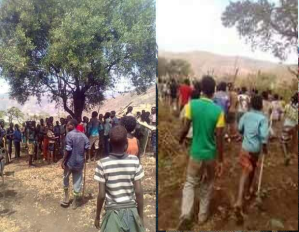 OromoProtests @Baddannoo, Dheertuu Raamisi, Hararge, Oromia, Feb 25, 2016