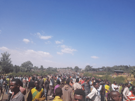 #OromoProtests @ Bule Hora, Southern Oromia, 4 February 2016