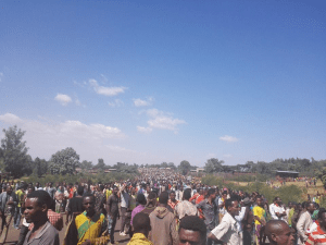 #OromoProtests @ Bule Hora, Southern Oromia, 4 February 2016