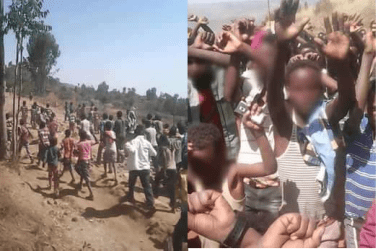 #OromoProtests continues in Karra, Chiracha town, Gurawa district, East Hararge Feb 7, 2016