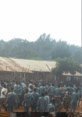 #OromoProtests in Amuruu, Horroo Guduruu Wallaggaa, Oromia, Feb 29, 2016