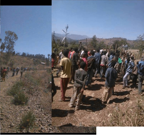 #OromoProtests in Dadar, East Hararge Feb 20, 2016