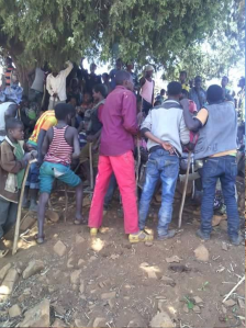 #OromoProtests in Xaxessa village, Gurawa district, East Hararge Feb 20, 2016