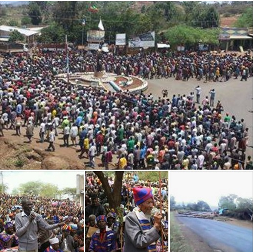 Konso People Protests the tyranny of fascist TPLF Ethiopia's regime, 8 March 2016